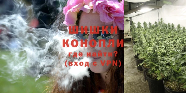 тгк Михайловск