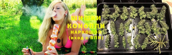 тгк Михайловск
