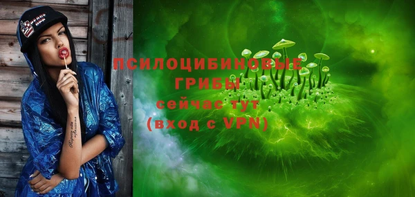 гидра Михайлов