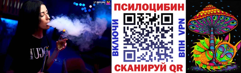 Купить где  Ишим  Псилоцибиновые грибы MAGIC MUSHROOMS 