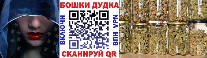 Купить где  Ишим  Бошки Шишки план 